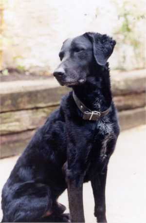 Benjamin